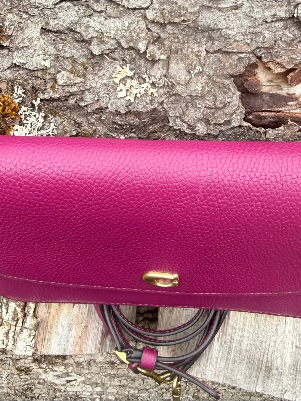 Coach Hayden Crossbody Clutch Bag C4815